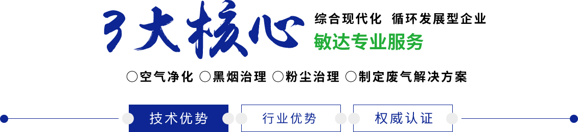 日本熟女老骚妇女人敏达环保科技（嘉兴）有限公司